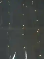 Пленка LED прозрачная упаковочная, для оформления букетов и упаковки подарков