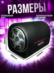 Сабвуфер активный Pioneer OK, DV-10", 1600W