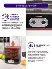 Черный сушилка для овощей и фруктов LUMME LU-1853 с вентилятором, 5 уровней, черный/красный