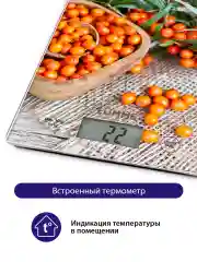 Коричневый кухонные весы со встроенным термометром LUMME LU-1340 янтарная облепиха