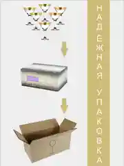 Бокалы для мартини, подарочный набор, 6 шт., 190 мл, золото PROMSIZ, коллекция Греческий