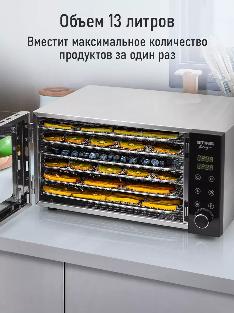 Серебряный профессиональная электросушилка  STINGRAY ST-FD709A 6 поддонов черный
