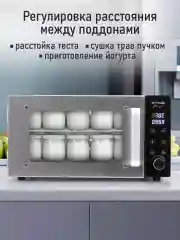 Серебряный профессиональная электросушилка  STINGRAY ST-FD709A 6 поддонов черный