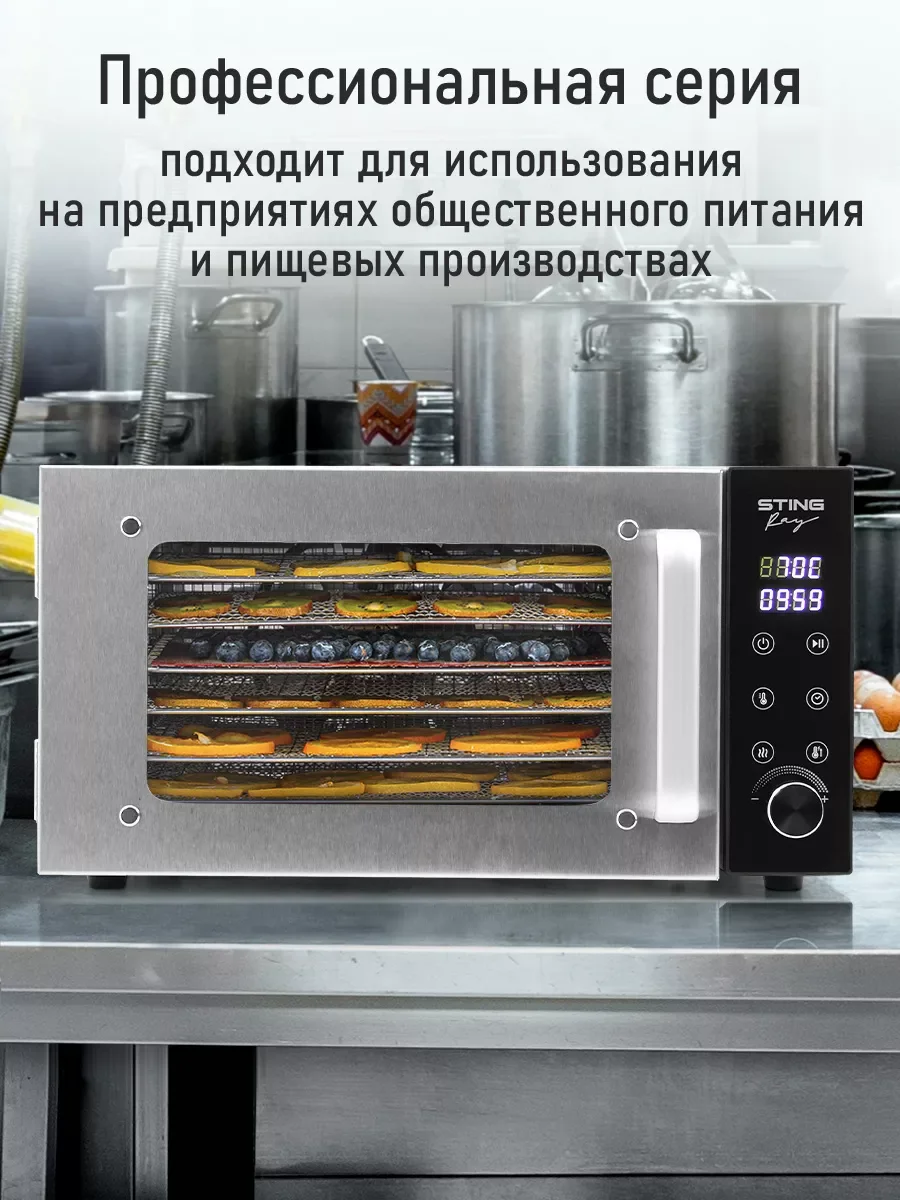Серебряный профессиональная электросушилка  STINGRAY ST-FD709A 6 поддонов черный