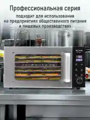 Серебряный профессиональная электросушилка  STINGRAY ST-FD709A 6 поддонов черный