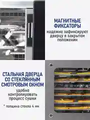 Серебряный профессиональная электросушилка  STINGRAY ST-FD709A 6 поддонов черный