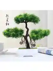 Лесной зеленый дерево Бонсай
