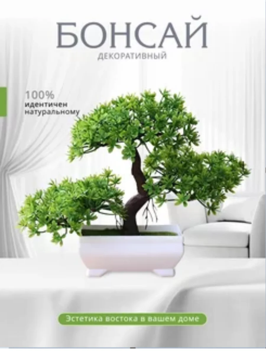 Лайм дерево Бонсай
