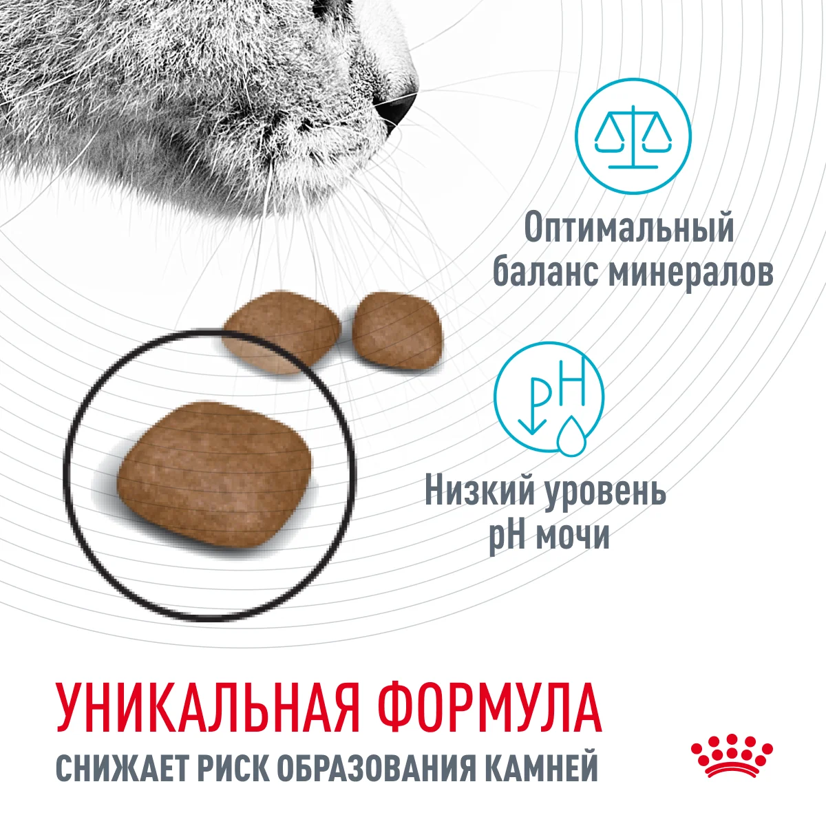 Сухой корм Роял Канин Уринари Кэа для кошек профилактика мочекаменной болезни 2кг