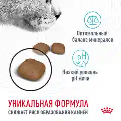 Сухой корм Роял Канин Уринари Кэа для кошек профилактика мочекаменной болезни 2кг