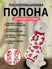 Красный попона послеоперационная для кошек и собак, бандаж боди после стерилизации, на липучке
