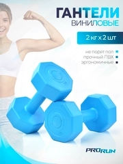 Гантели виниловые ProRun, 2 кг х 2 шт, голубой, 100-4811