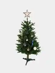 Елочные шары-игрушки Золотая Сказка, 592173, новогодний декор, набор 44 предмета, пластик