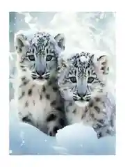 Бежевый алмазная мозаика, без подрамника, 30*30, 30*40, 40*50