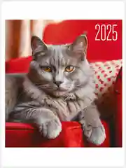 Багровый перекидной настенный календарь на скрепке на 2025 год. 27 видов
