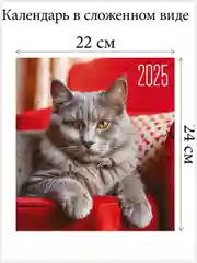 Багровый перекидной настенный календарь на скрепке на 2025 год. 27 видов