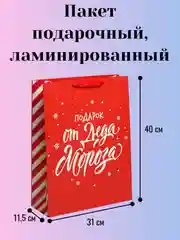 Красный пакет подарочный, ламинированный, новогодний, 31х40см. Символ года - Змея