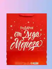 Красный пакет подарочный, ламинированный, новогодний, 31х40см. Символ года - Змея