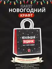 Морской пакет подарочный новогодний, новогодний пакетик "С новым 2025 годом", 22х22см 1 дизайн
