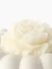 Коралловый поднос/ Подставка из гипса