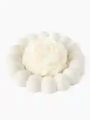 Коралловый поднос/ Подставка из гипса