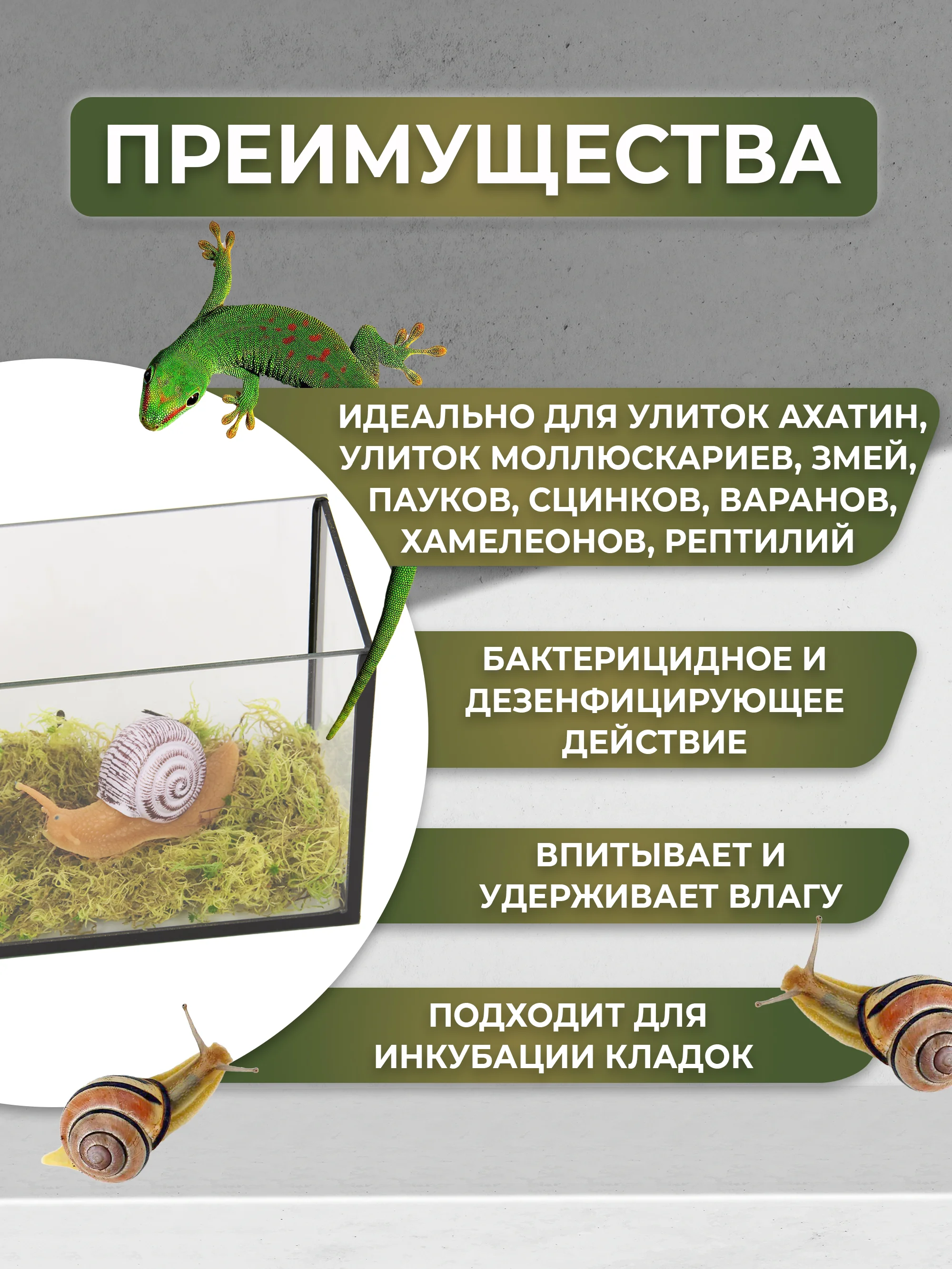 Мох живой для террариумов сфагнум РЕПТАЙЛ, 3 литра. Для улиток, рептилий, амфибий