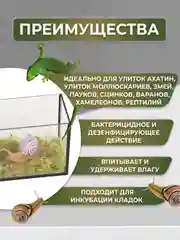Мох живой для террариумов сфагнум РЕПТАЙЛ, 3 литра. Для улиток, рептилий, амфибий