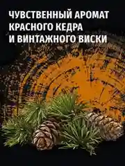 Гель для душа мужской Фа MEN 2-в-1 Красный кедр с ароматом кедра и винтажного виски, 250мл