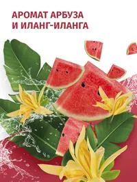 Дезодорант женский спрей Фа Ритмы Острова Фиджи Dream, 150мл