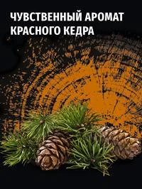 Дезодорант мужской спрей для тела Фа MEN Красный кедр, 150мл