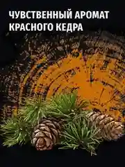 Дезодорант мужской спрей для тела Фа MEN Красный кедр, 150мл