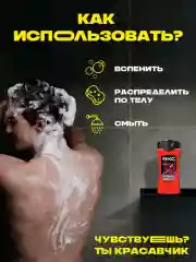 Гель для душа Акс Мужской парфюмированный феникс арктическая мята и травы, 250 мл