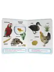 Книги картонные набор из 3 шт. Азбука в загадках/Домашние любимцы/Маяковский. Проф-Пресс