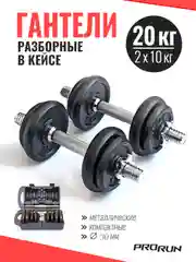 Гантели разборные в кейсе ProRun, 20 кг, чугунные, 100-5015