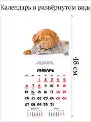 Зеленый перекидной настенный календарь на скрепке на 2025 год. 27 видов