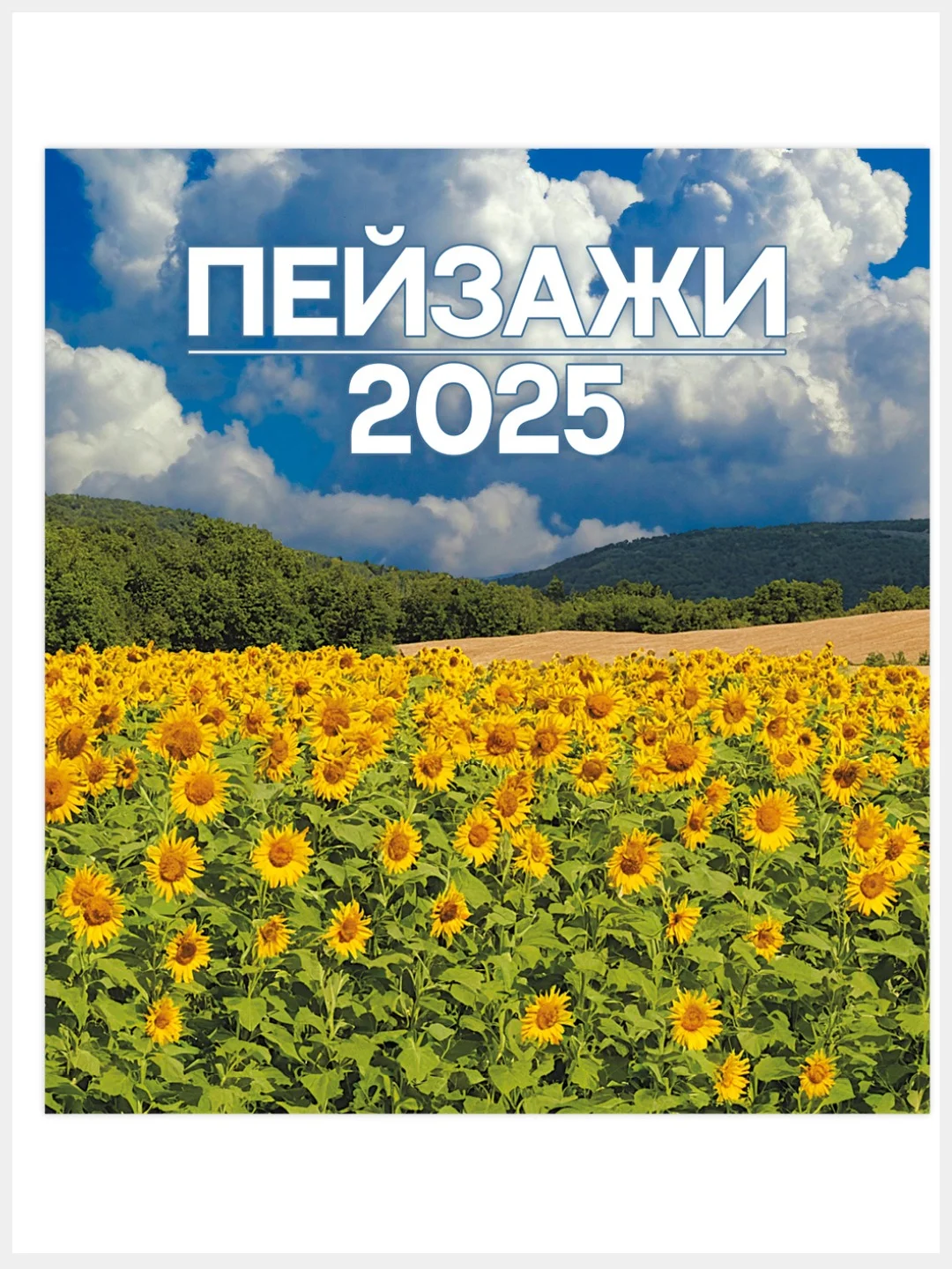 Кораллово-розовый перекидной настенный календарь на скрепке на 2025 год. 27 видов