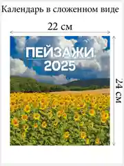 Кораллово-розовый перекидной настенный календарь на скрепке на 2025 год. 27 видов