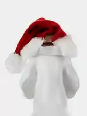 PUPPIA Колпак для собак новогодний "Santa", красный, M (Южная Корея)