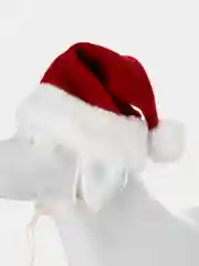 PUPPIA Колпак для собак новогодний "Santa", красный, ХL (Южная Корея)