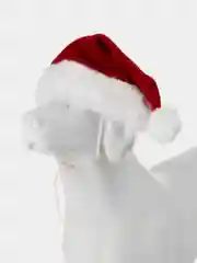 PUPPIA Колпак для собак новогодний "Santa", красный, ХL (Южная Корея)