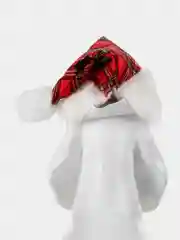 PUPPIA Колпак для собак новогодний "Santa", красная клетка, S (Южная Корея)