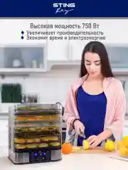 Черный электросушилка STINGRAY ST-FD701B 12 поддонов черный жемчуг