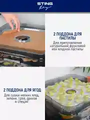 Черный электросушилка STINGRAY ST-FD701B 12 поддонов черный жемчуг