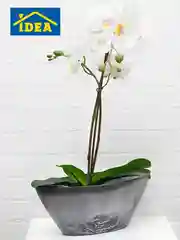 Серый кашпо / горшок для цветов с поддоном "Микрит" IDEA