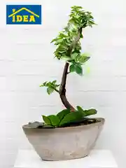 Бежевый кашпо / горшок для цветов с поддоном "Микрит" IDEA