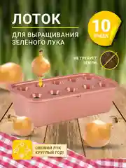 Коричневый лоток для выращивания лука многоразовый контейнер для зелени