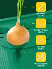 Зеленый лоток для выращивания лука многоразовый контейнер для зелени
