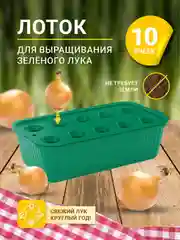 Зеленый лоток для выращивания лука многоразовый контейнер для зелени