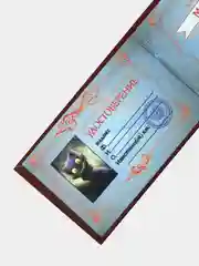 Шуточное удостоверение "Можно все"