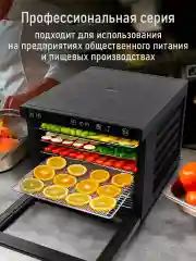Черный сушилка для овощей и фруктов ST-FD710C с горизонтальным обдувом, 14 поддонов, черный